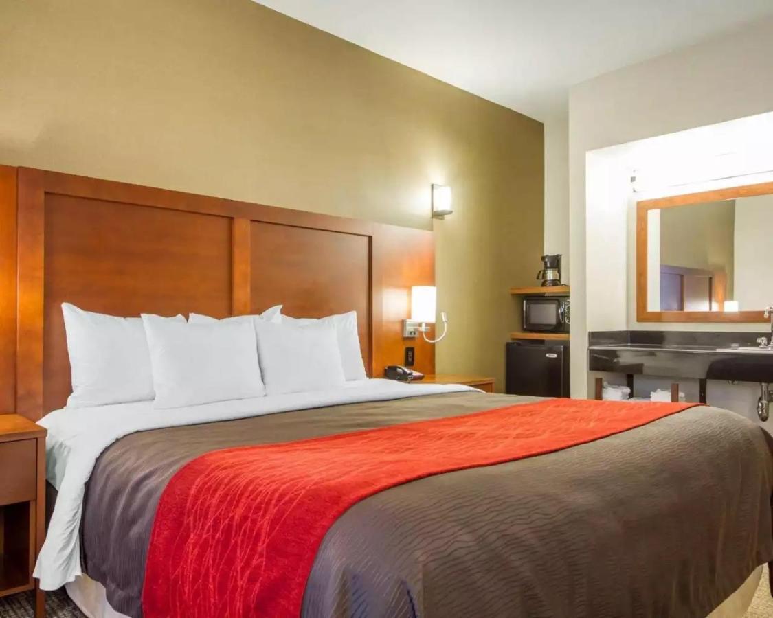 The Atrium Hotel Sfo Airport - Free Shuttle & Breakfast San Bruno Exterior foto